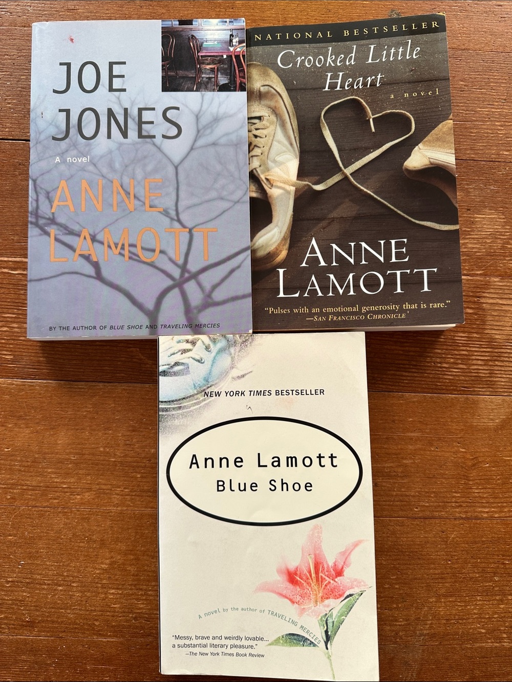 Anne Lamont Book Collection - Set of 3 Books